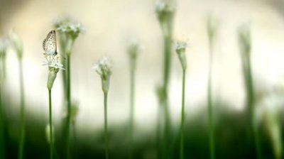 ​发朋友圈的励志句子 朋友圈点赞率高的说说