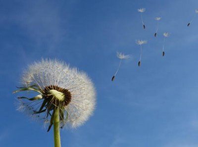 ​抖音很火的句子