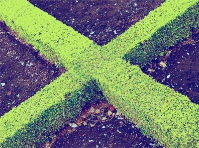 ​懂生活懂品味的句子（感悟生活品味的短句）