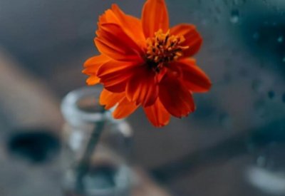 ​公司团建励志的句子