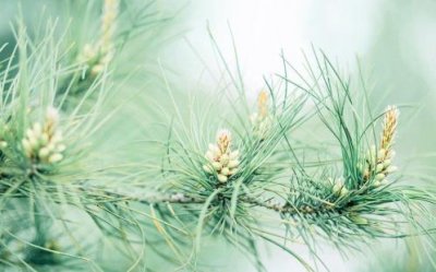 ​让人泪崩的恋爱语言 让你一秒泪崩的句子