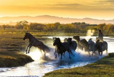 ​qq个性签名早安励志说说大全(30条)