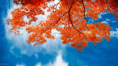 ​表示感谢的句子简短一点（关于感谢相遇的唯美句子）