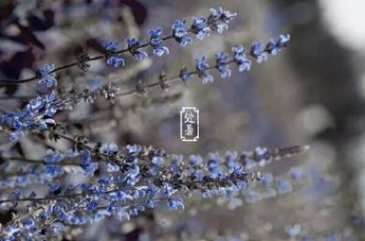 ​句子正能量 生活感悟的简短句子 92