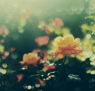 ​激励上进正能量句子 积极向上正能量的句子