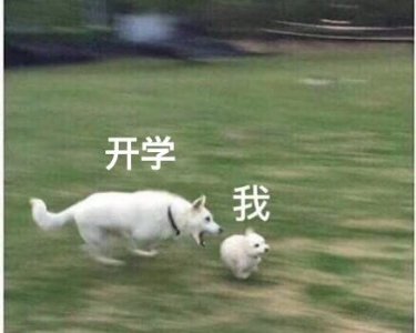 ​不想开学的搞笑句子