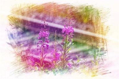 ​10句最激励人心的句子 ，句句正能量，送给迷茫的你