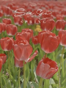 ​春天简短美句文案（春天独有的浪漫文案 简短高级的朋友圈文案）