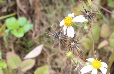 ​开心句子说说心情