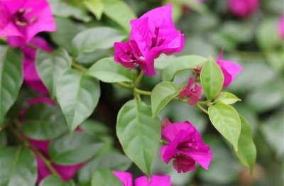 ​五月的第一天文案