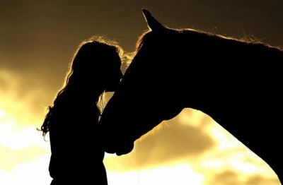 ​形容烟花的句子