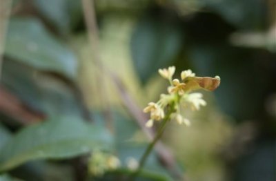 ​朋友圈发闺蜜的合照 配文字