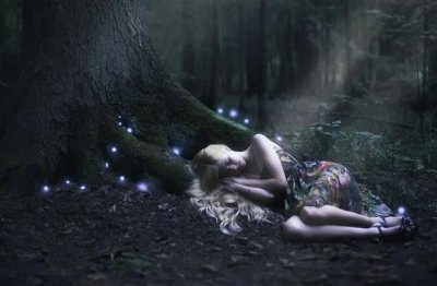 ​心向阳光正能量的句子