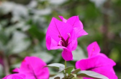 ​对象让自己失望的说说