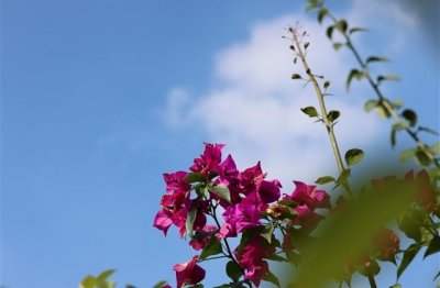 ​假期结束上班的文案