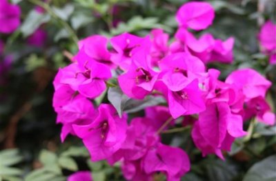 ​怀念以前无忧无虑的生活说说(34句)