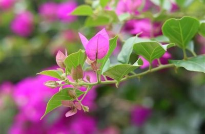 ​赚钱难花钱容易的说说