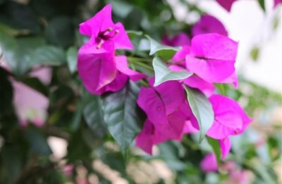 ​害怕下雨天的心情说说 下雨天的心情说说