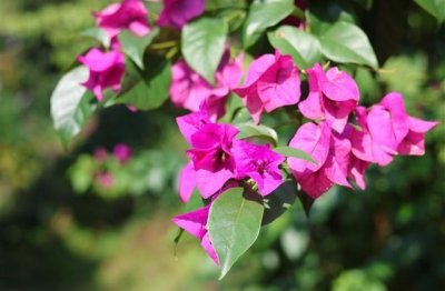 ​学业繁重的说说