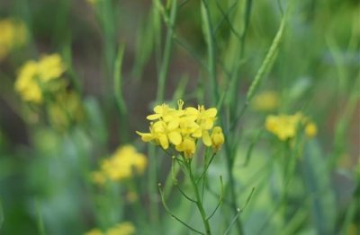 ​最经典温馨的正能量祝福语大全