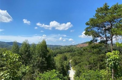 ​关于信任的名言句子