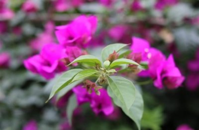 ​用已经造句二年级