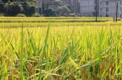 ​最新超拽的火星文个性签名大全 酷到你没商量的火星文签名