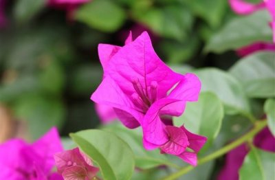 ​悼念刚离去的亲人句子