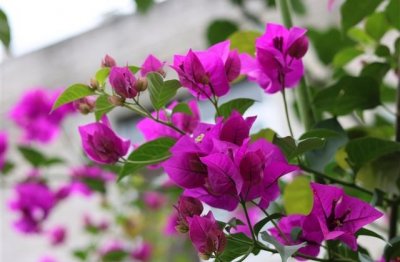 ​形容旅途愉快的唯美句子(精选37句)