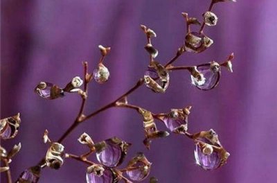 ​关于感情说说伤感的句子(34句)