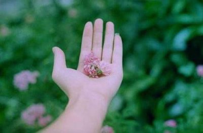 ​人生感悟的句子唯美简短