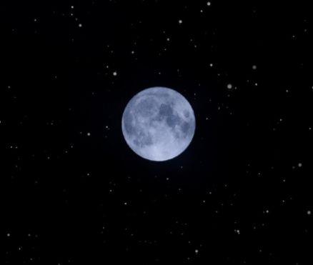 秋天赏菊的唯美句子 赞美金秋赏菊的句子