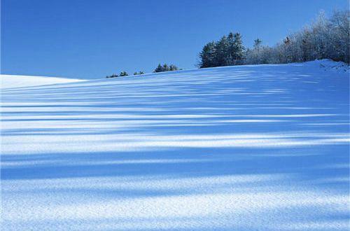 【精华】2025年经典唯美句子78条