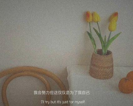 毕业生励志唯美的句子（精选80句）