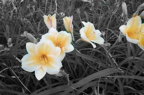 人生美好心态经典句子