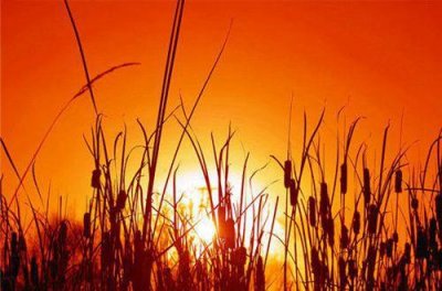 ​雪的优美句子摘选