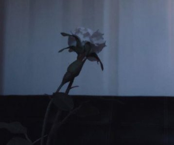 ​春天的优美景色句子