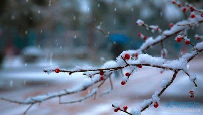 ​留言板留言大全,留言板留言大全暖心【总共67句】