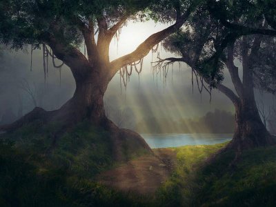 ​我该何去何从的说说(54句)