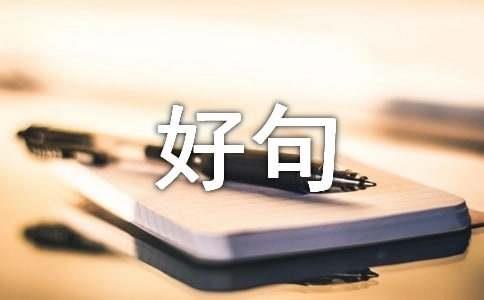 【实用】2025年人生感悟的好句49条