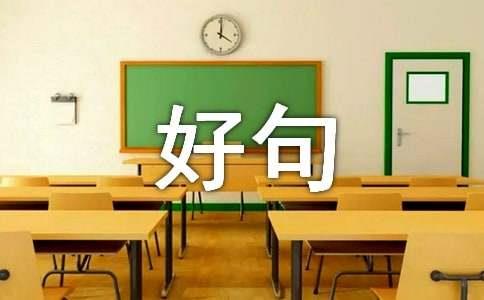 2025年精选人生感悟的好句集合39句