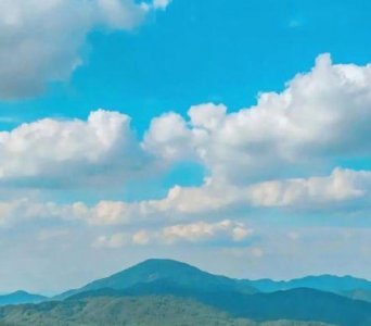 ​令人痛心的伤感语句