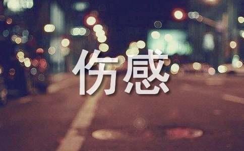 精选抖音最火的伤感句子69条