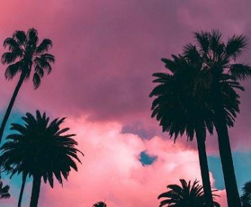 ​比较诗意的句子121句