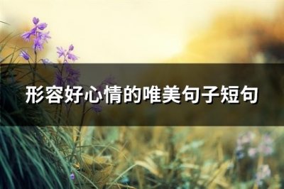 ​形容好心情的唯美句子短句(共60句)