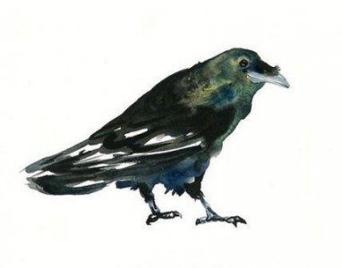 ​思念远方爱人的句子