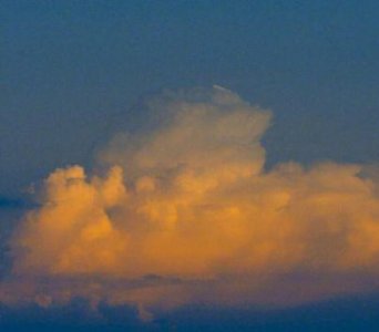 ​形容爱老婆的句子82句