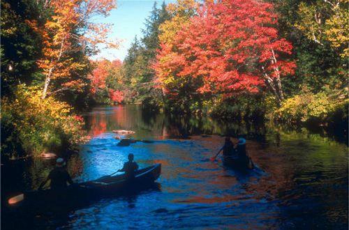 生活伤感句子锦集78条