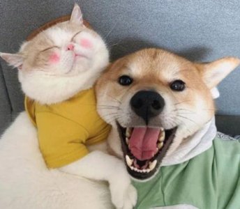 ​植树节的句子经典文案 赞美植树节的句子(51句)