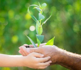 ​伤心和绝望的句子